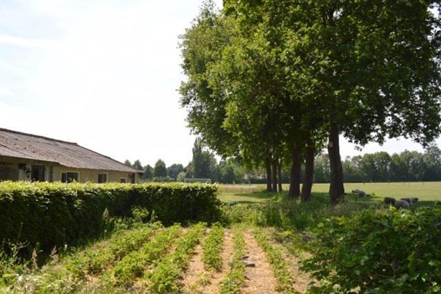 Residentie De Hoek Den Dungen Zewnętrze zdjęcie