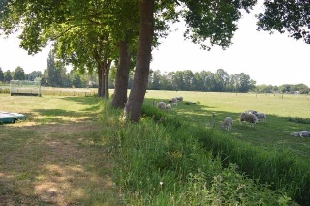 Residentie De Hoek Den Dungen Zewnętrze zdjęcie